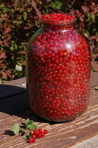 Лето скоро закончится :(