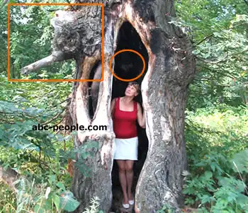 ФОТО ПРИЗРАКОВ И ПРИВИДЕНИЙ