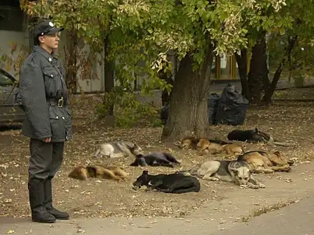 Милицейские байки. Девятый десяток