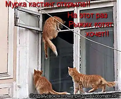 Котоматрицы 21