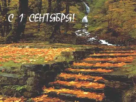 1 сентября - день знаний!