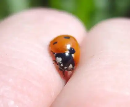 Лето кончилось