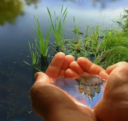 Вся красота природы..)