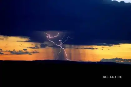 Капризы природы