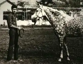 Серийные убийцы: Сергей Головкин