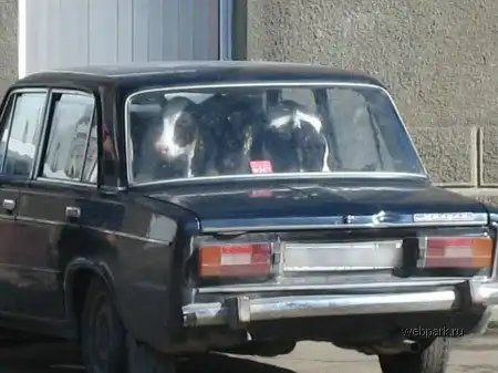 Тачка с клевыми телками