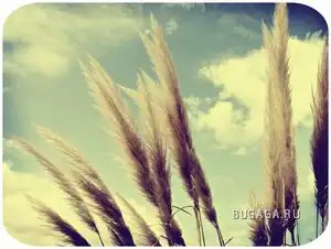 Осеннее настроение...