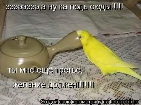 Котоматрица на высоте!)))
