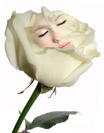 Обо всём!!!!!!!!!!!!