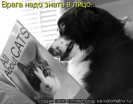 Мысли животных)