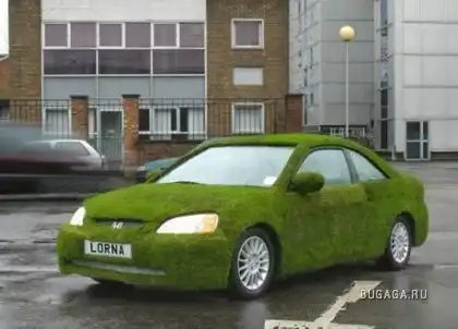 Автоклумбы