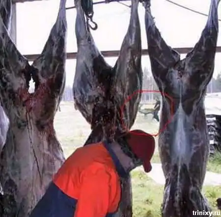 Очередная подборка на тему Актеры второго плана