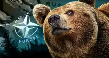 Хватит дразнить медведя