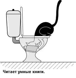 Что делает кошка в вашем туалете?