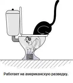 Что делает кошка в вашем туалете?