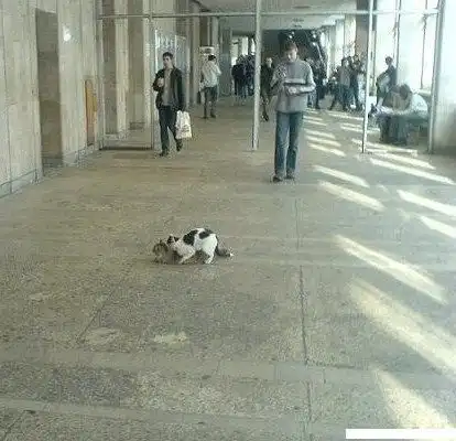 смешные фотки из различных учебных заведений