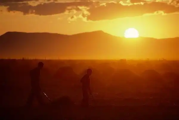 Все такое оранжевенькое