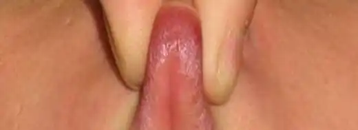 што за орган ???