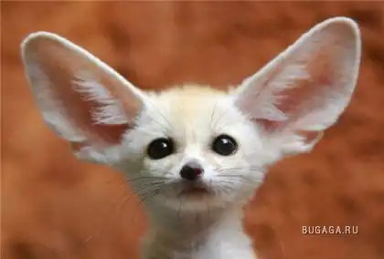 подборочка!!