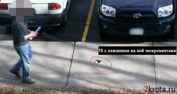 И все это ради 5 долларов