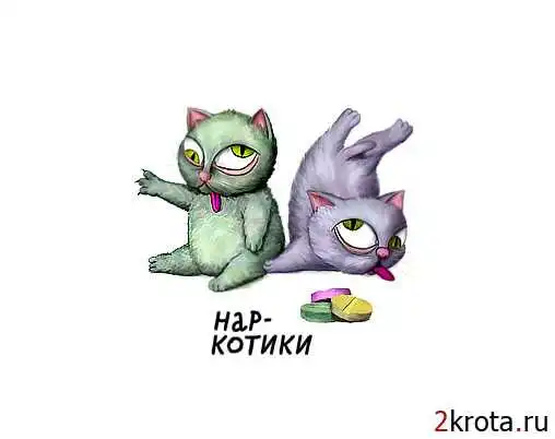 Прикольная фотоподборка.