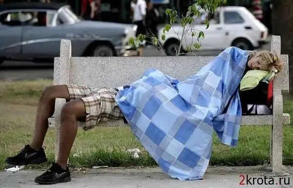 Жизнь удалась