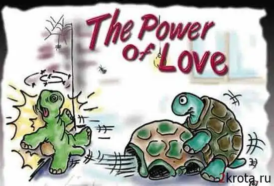 Жизнь удалась