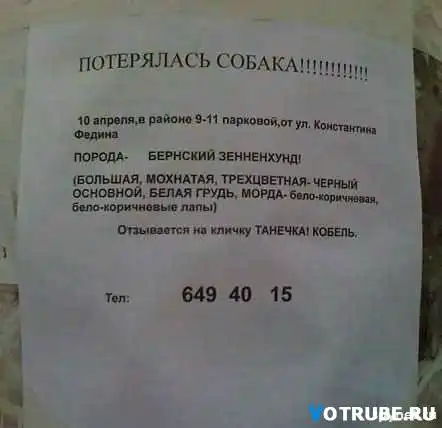 Прикольные картинки