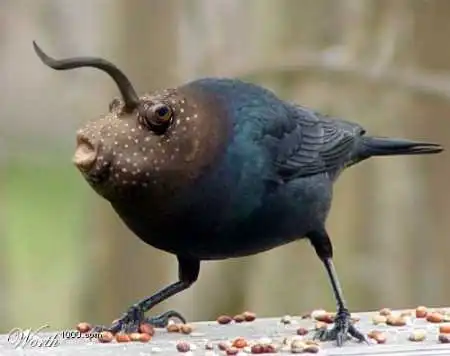 Нереальные животные