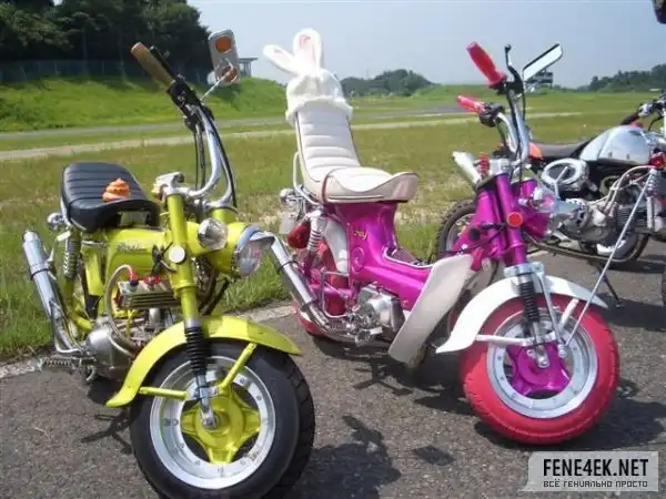 МопЭды!