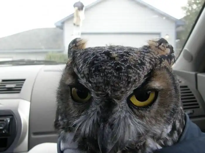 Видать мыши попались невкусные.