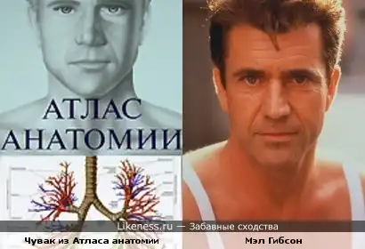 Еще схожести.