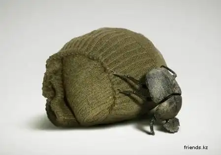 Суровые мужские правила)))