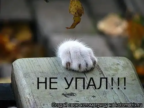 В гостях у КОТОМАТРИЦИ :)