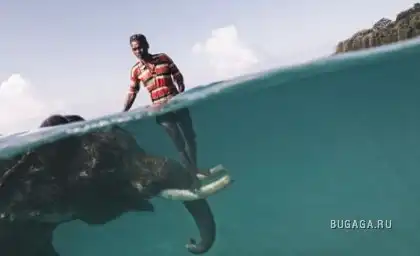 Фото National Geographic's