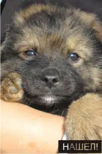 ПОМОГИИТЕ В БЕДЕ!