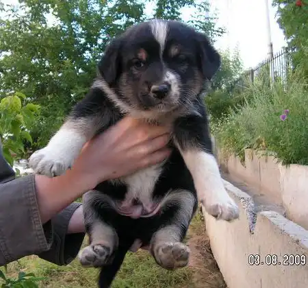 ПОМОГИИТЕ В БЕДЕ!