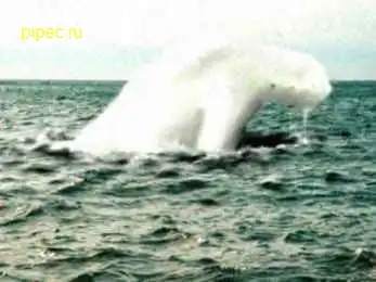 Как всегда жесть