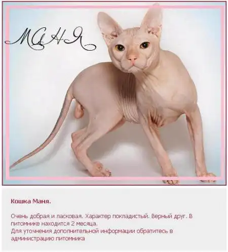 В хорошие руки. ..!!!