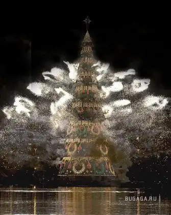 В Бразилии зажглась самая высокая «плавучая» елка