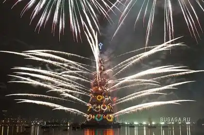 В Бразилии зажглась самая высокая «плавучая» елка