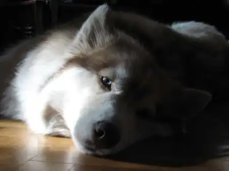 Обращение к пользователям портала,прочитайте,подумайте.