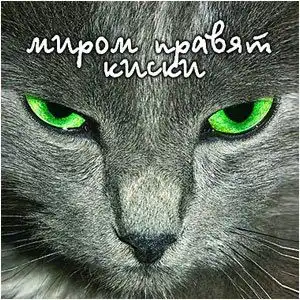 Миром правят