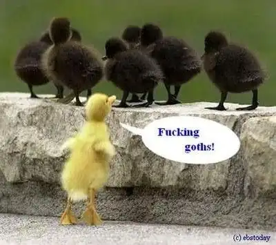 Фото приколы дня с(: