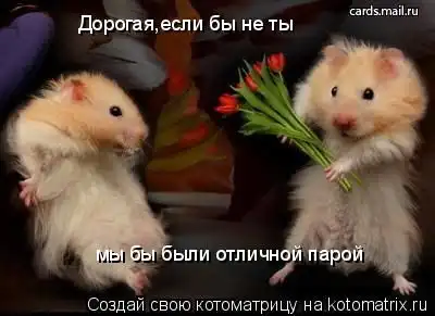 Животный позитиффф