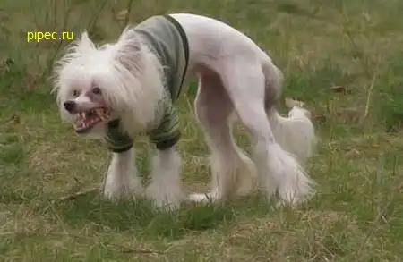 ФотоприколЫ