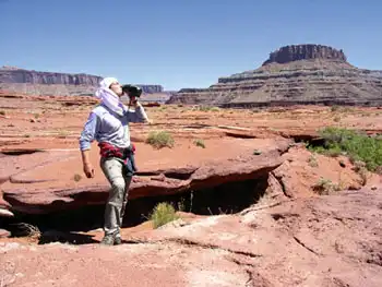 Беар Гриллс "Выжить любой ценой"