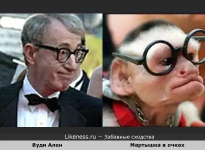 Забавные сходства