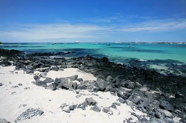 Галапагосские острова в работах Стива Ференасса.