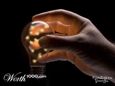 Животные трудятся